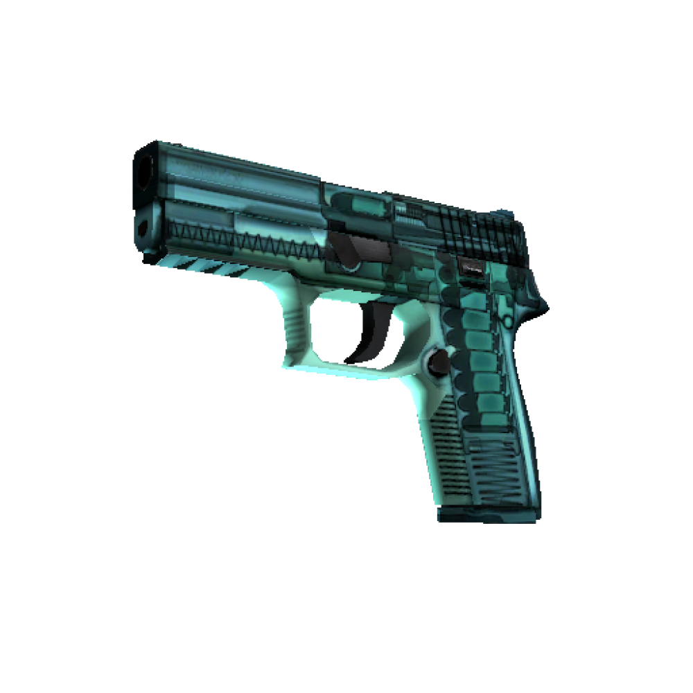 StatTrak&trade; P250 | X-Ray  (Minimal Wear)