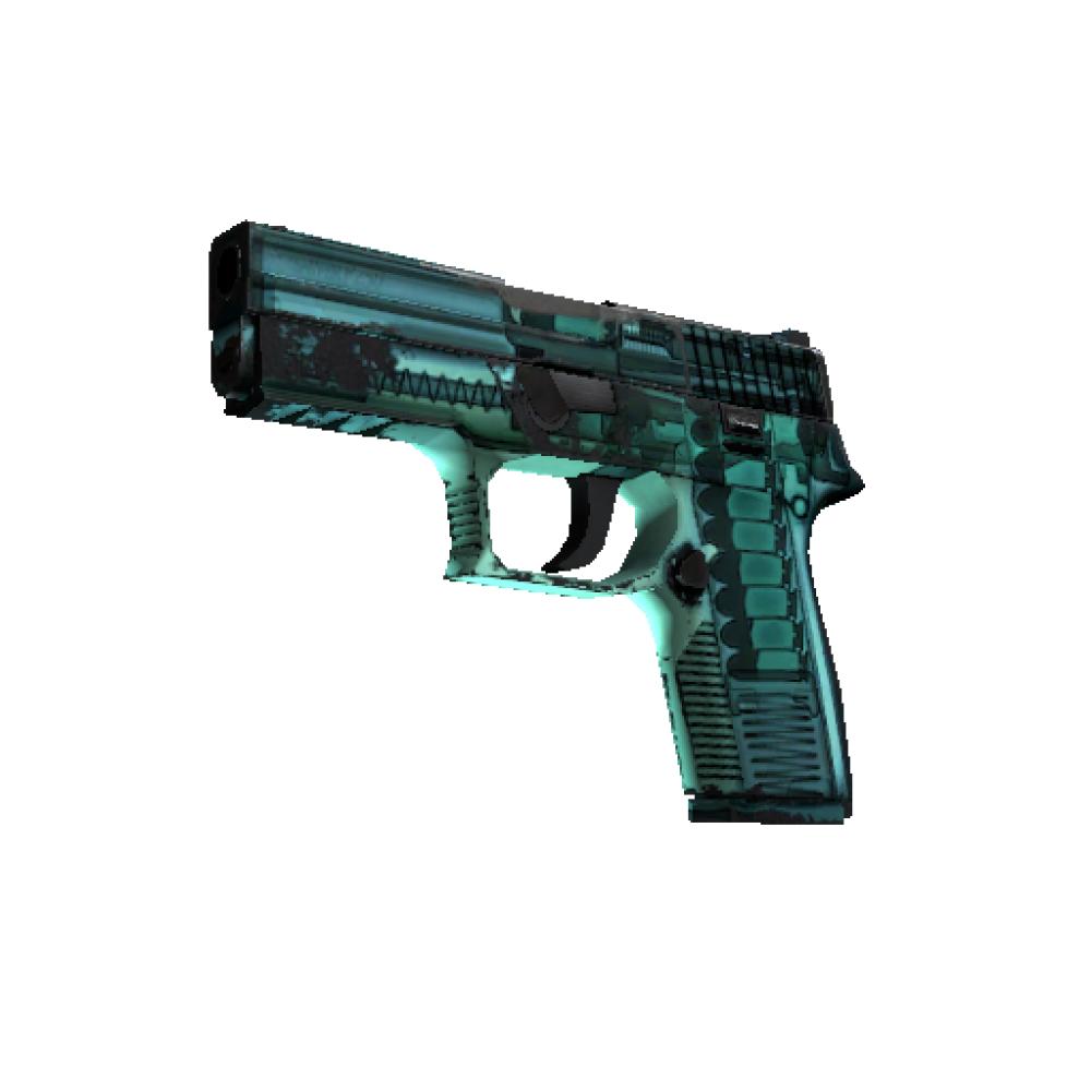 StatTrak&trade; P250 | X-Ray  (Field-Tested)