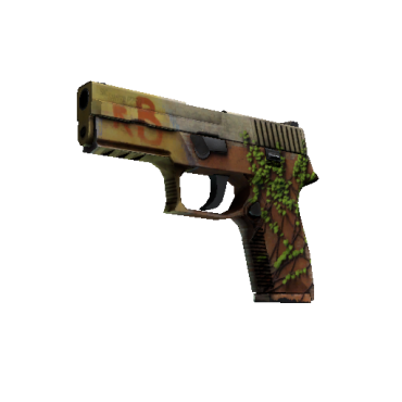 StatTrak™ P250 | Inferno  (Field-Tested)