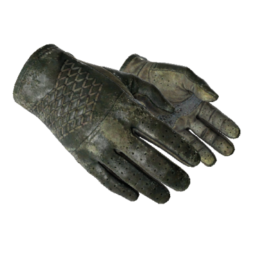 Driver Gloves | Racing Green  (Battle-Scarred)