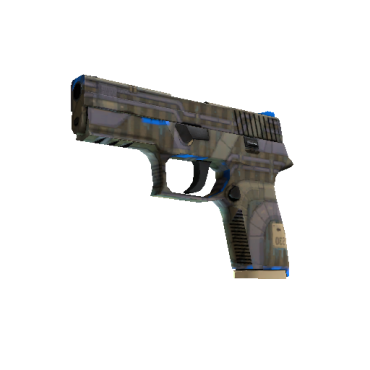 P250 | Exchanger  (Minimal Wear)