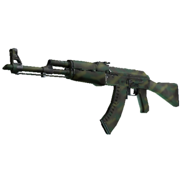 AK-47 | Jungle Spray  (Well-Worn)