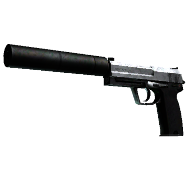 USP-S | Stainless  (Battle-Scarred)