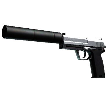 StatTrak™ USP-S | Stainless  (Minimal Wear)