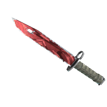 Bayonet | Slaughter  (Field-Tested)