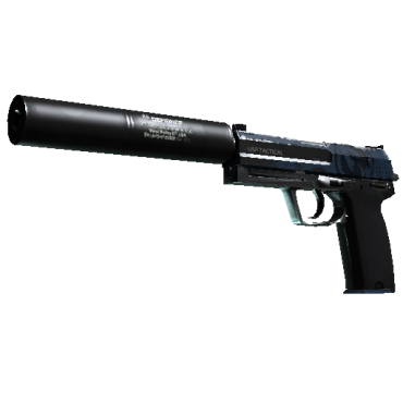 StatTrak™ USP-S | Guardian  (Field-Tested)